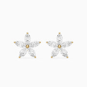 Ceridwen Marquise Cut Lab Grown Diamond Star Flower Stud Earrings
