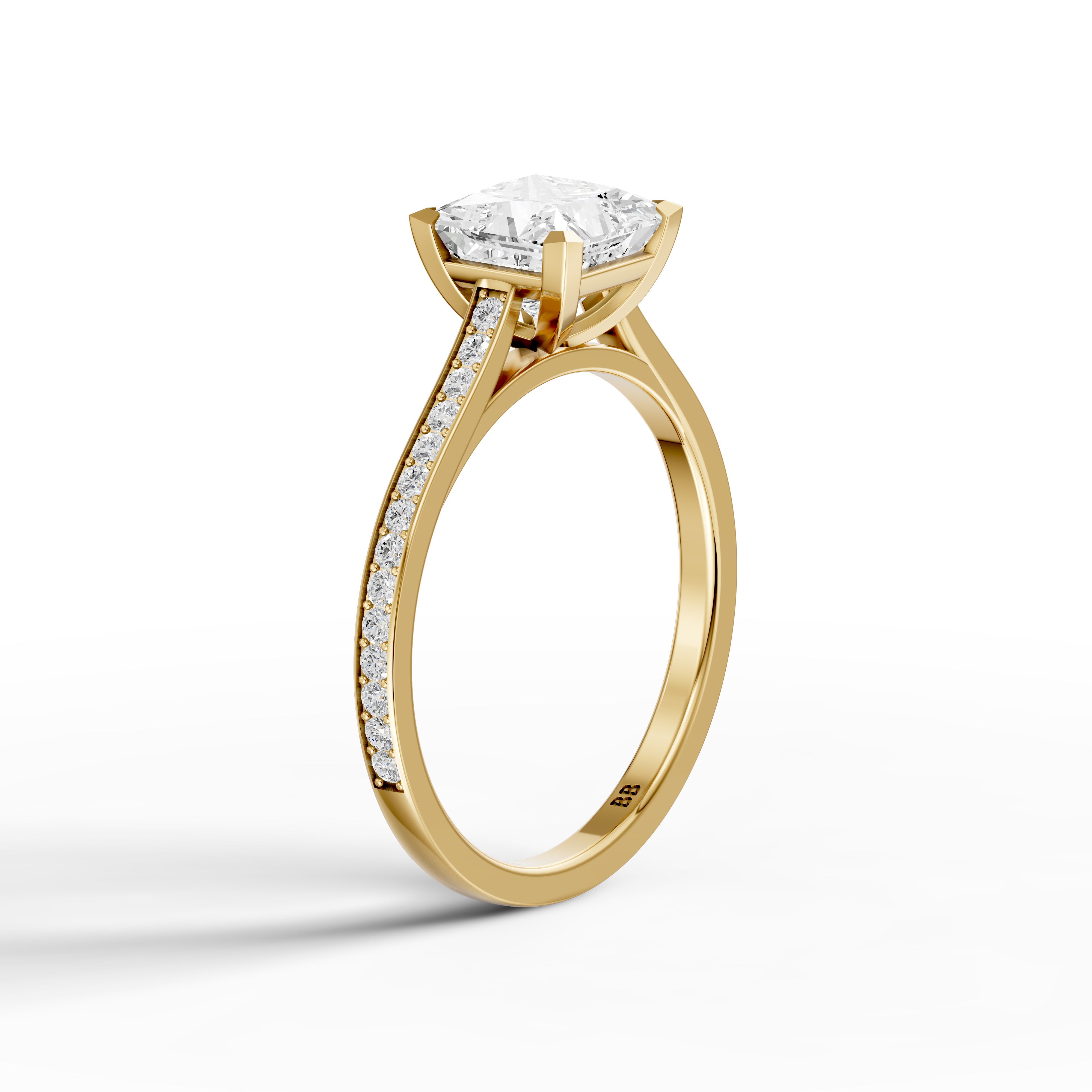 Jaylyn Princess Cut Side Stone Cathedral Moissanite Diamond Ring