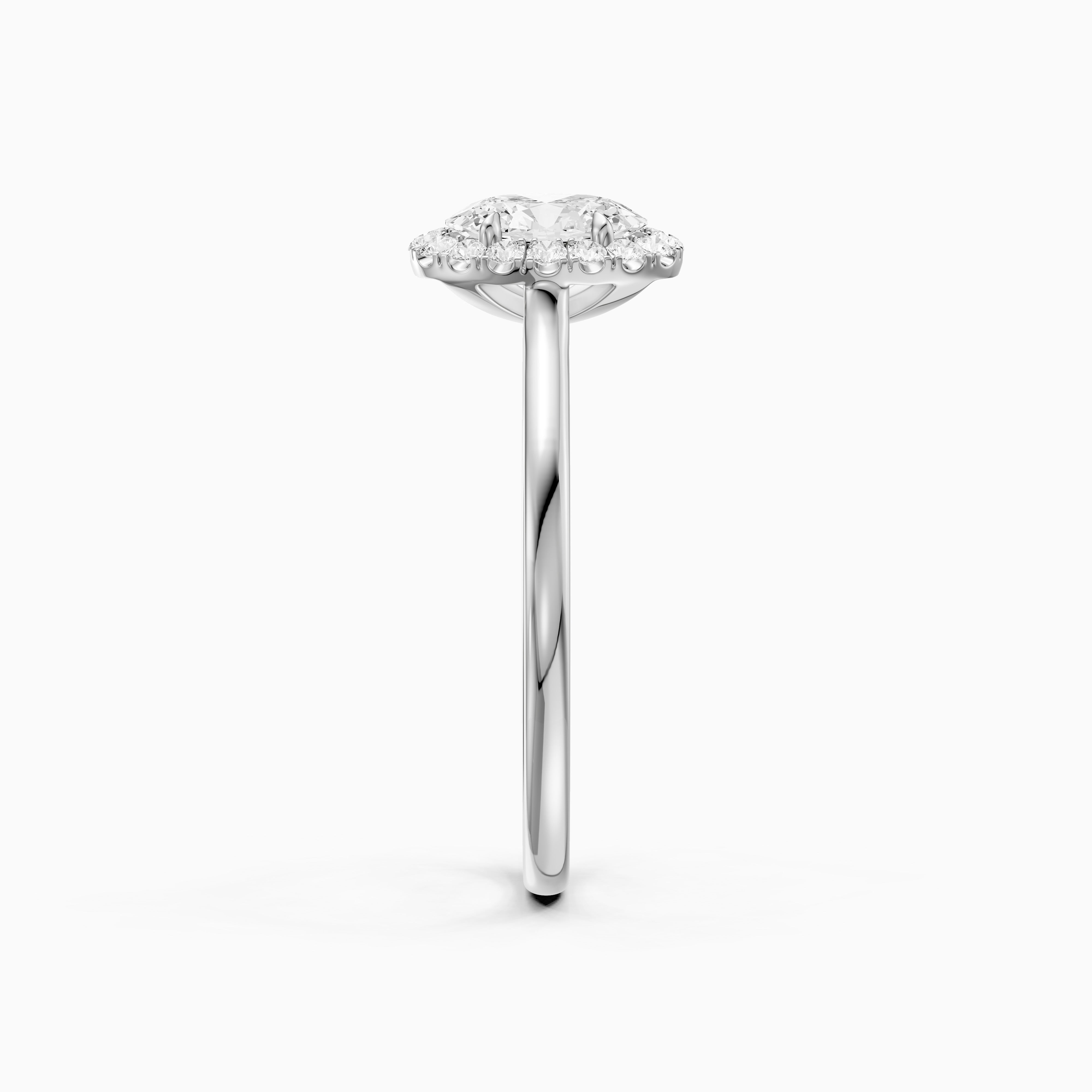 Amaris Oval Halo Cathedral Style Moissanite Diamond Ring