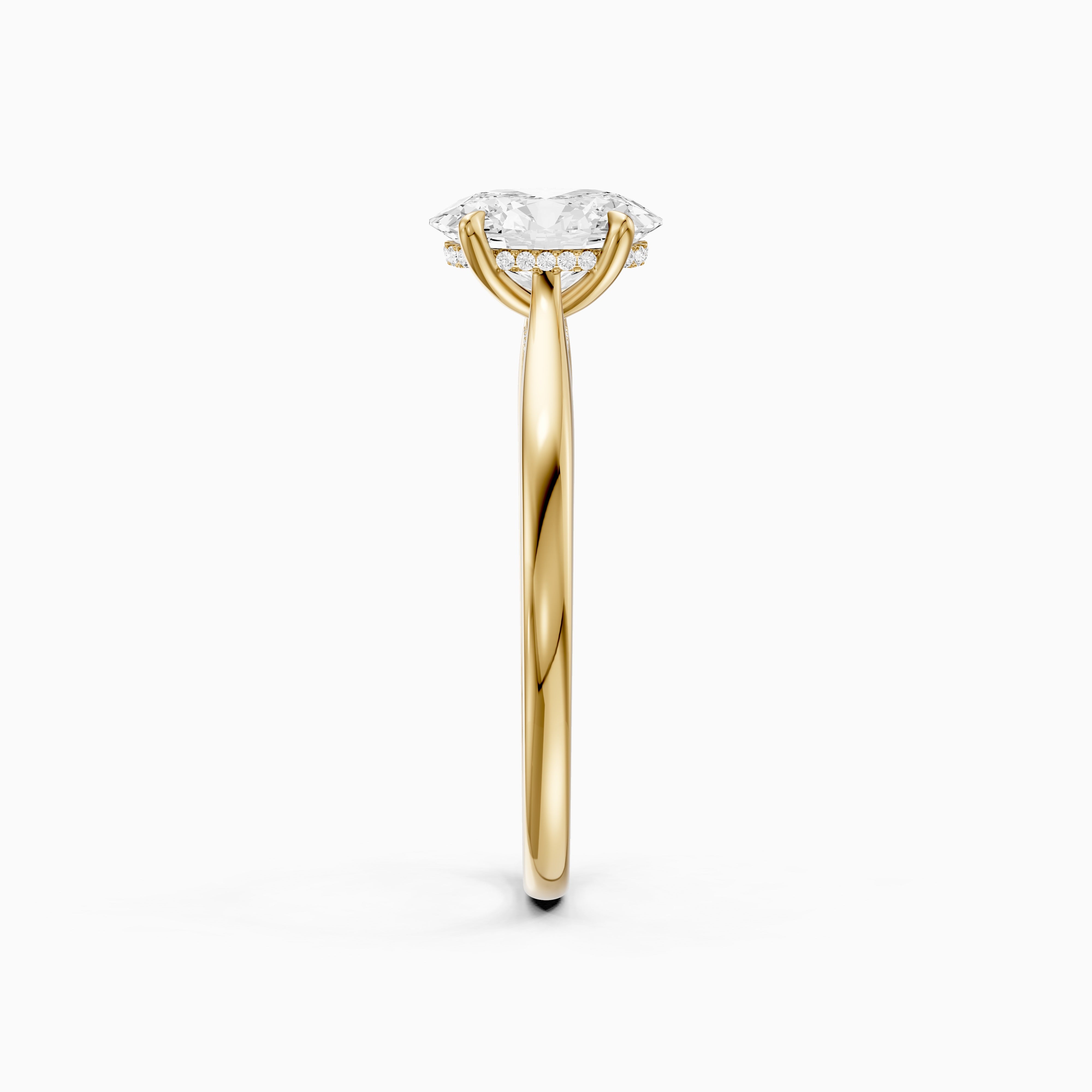 Lila Oval Moissanite Diamond Cathedral Ring with Hidden Halo