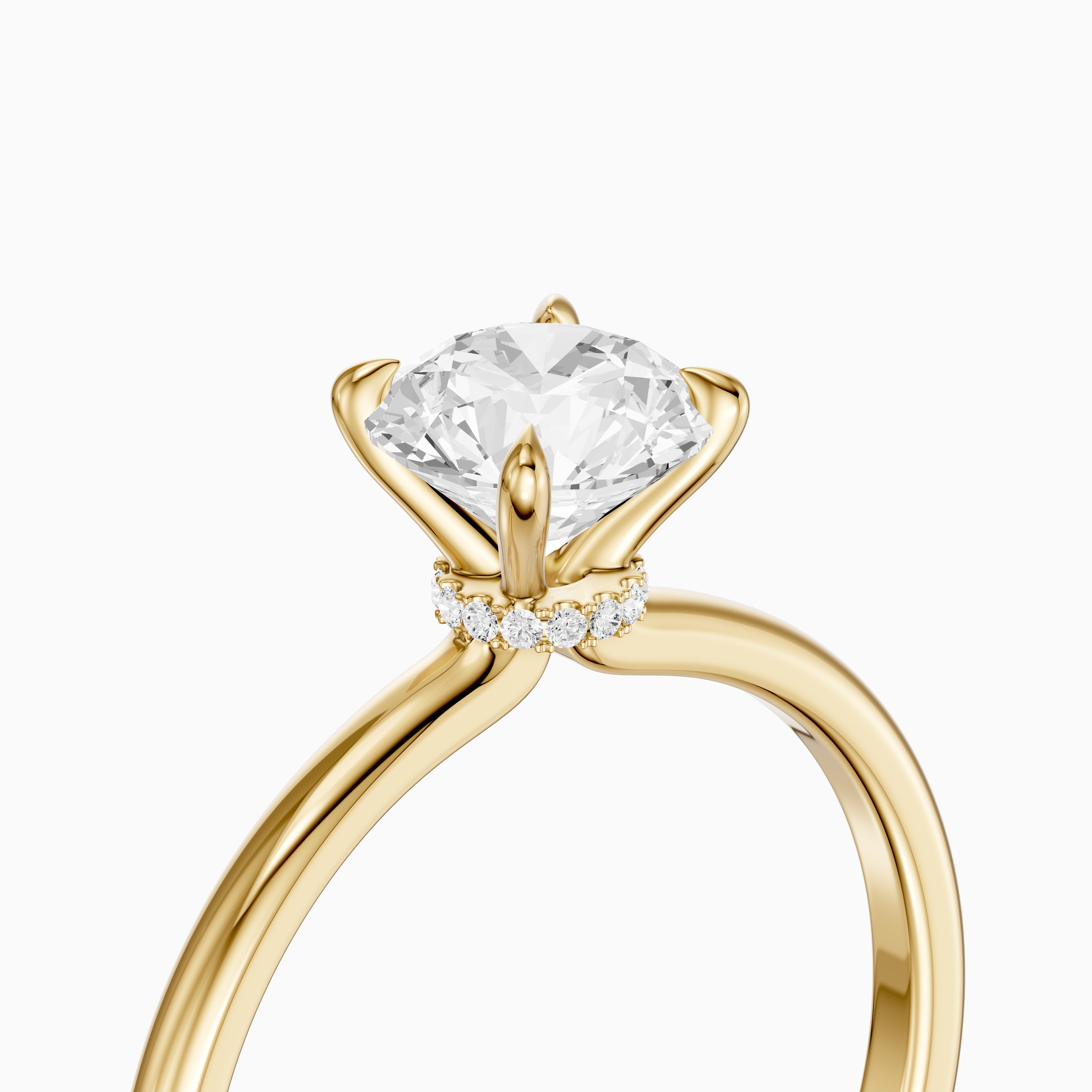 Dana Round Cut Hidden Halo Moissanite Diamond Engagement Ring