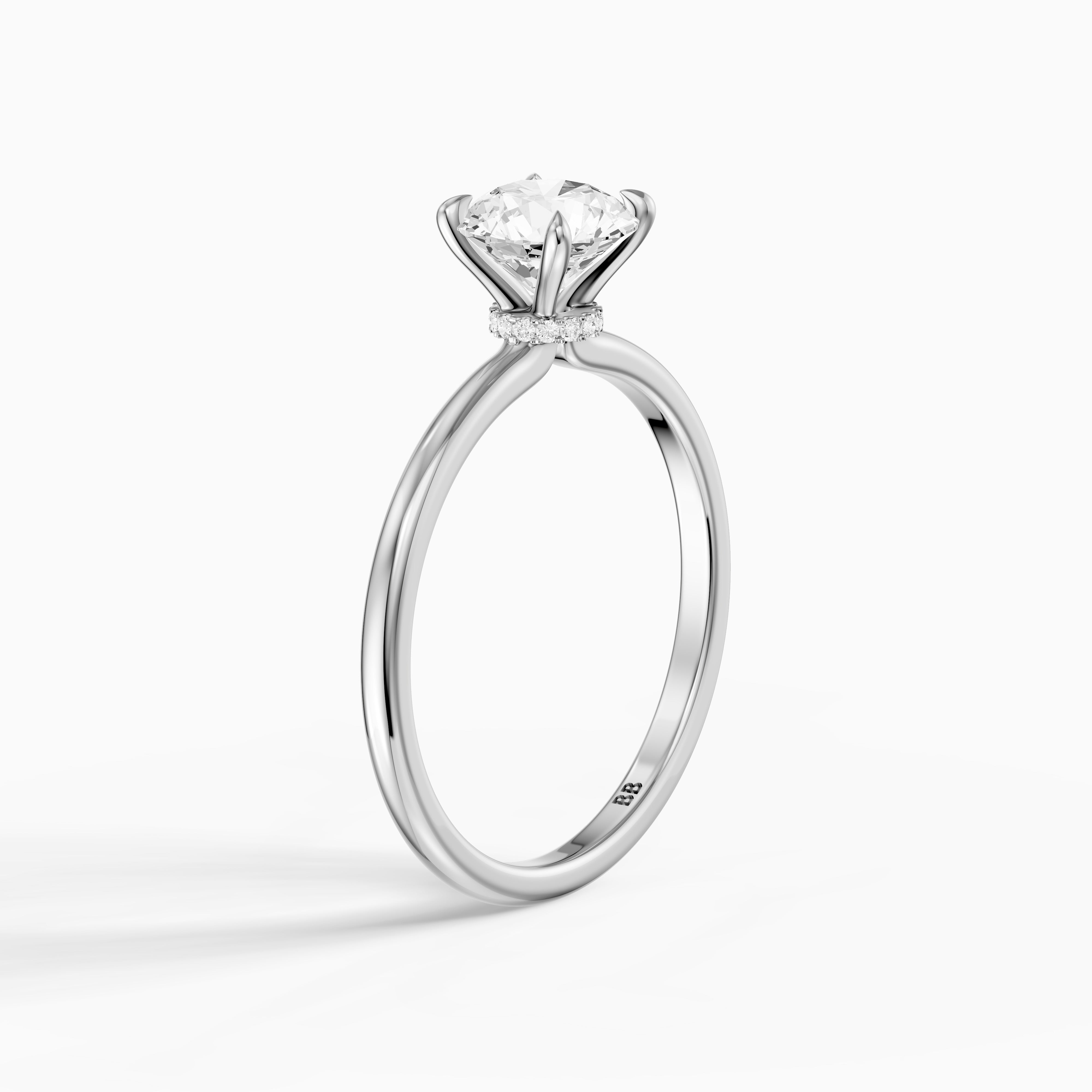 Dana Round Cut Hidden Halo Moissanite Diamond Engagement Ring