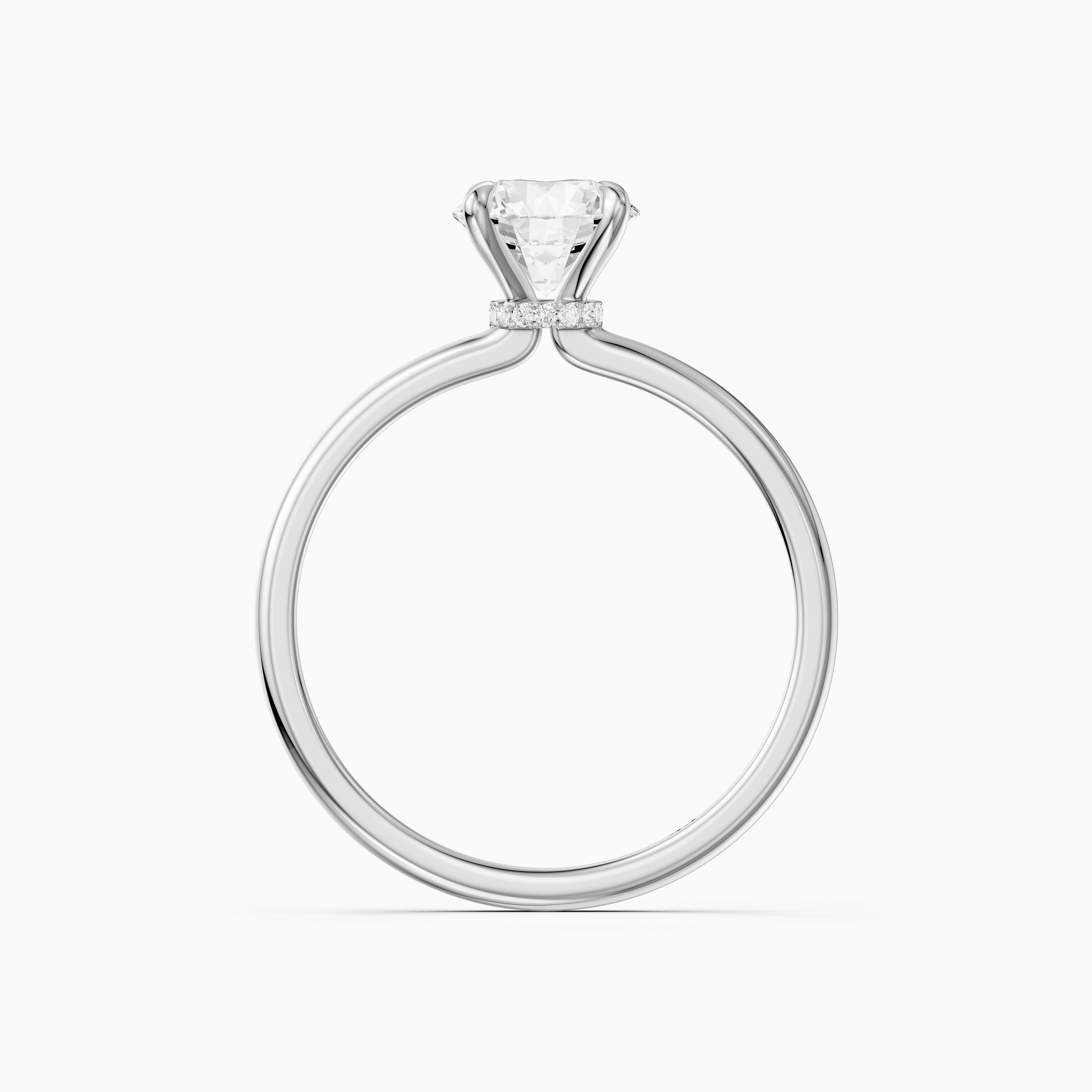 Dana Round Cut Hidden Halo Moissanite Diamond Engagement Ring