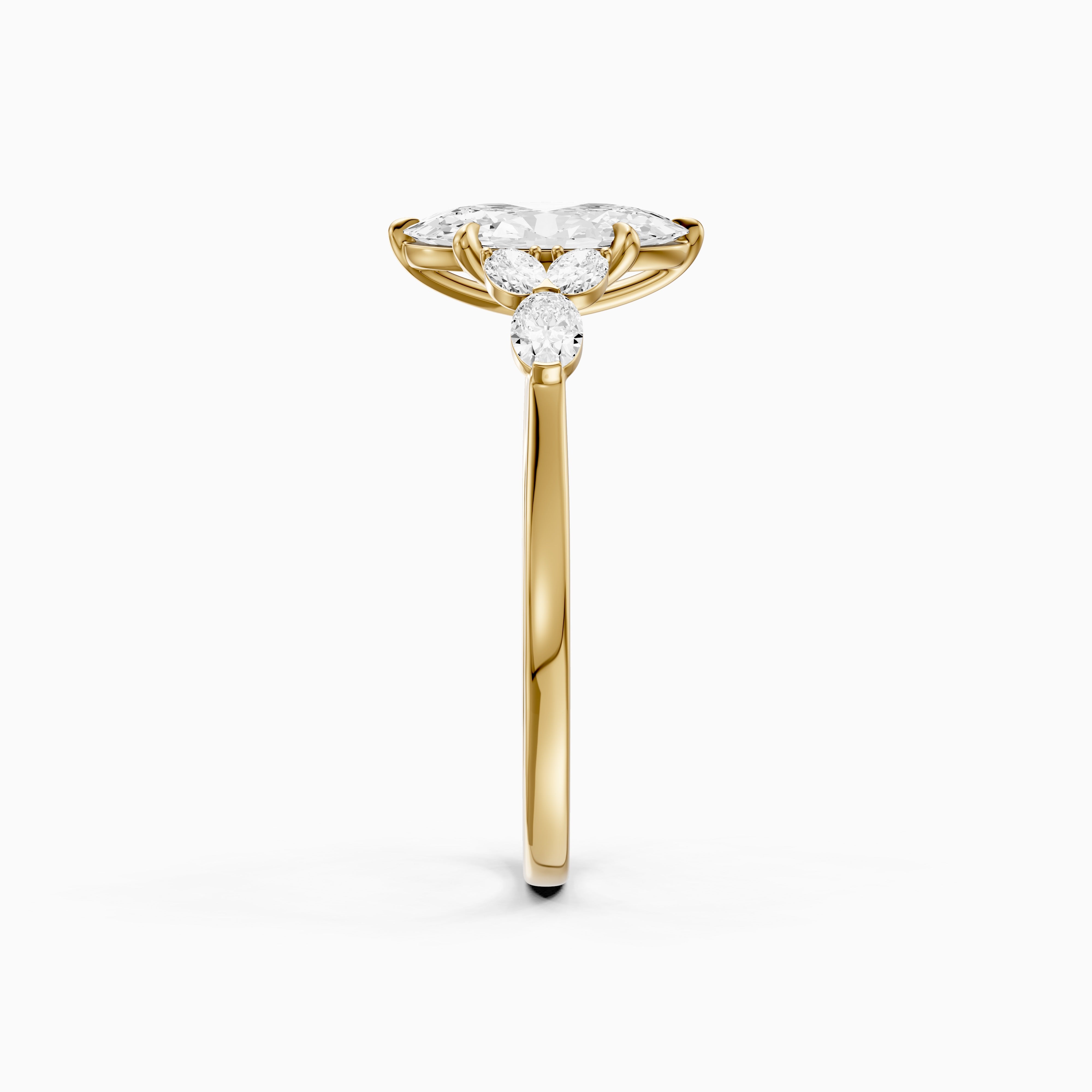 Aroa Moval Cut Moissanite Diamond Ring with Oval Side Stones