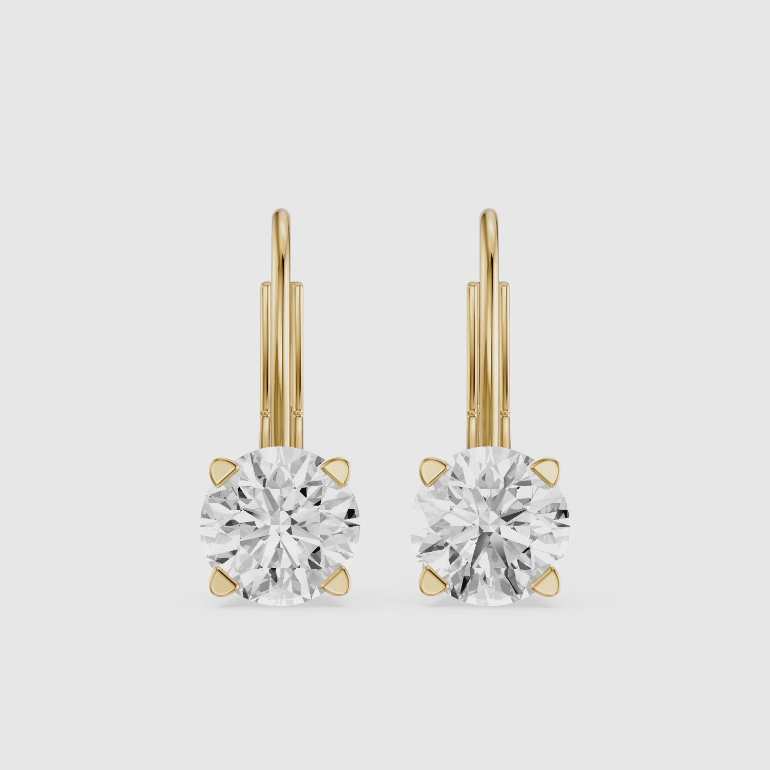 Load video: Riley Round Lab Grown Diamond Solitaire Lever Back Earrings